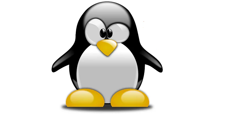 Google Penguin algorithm