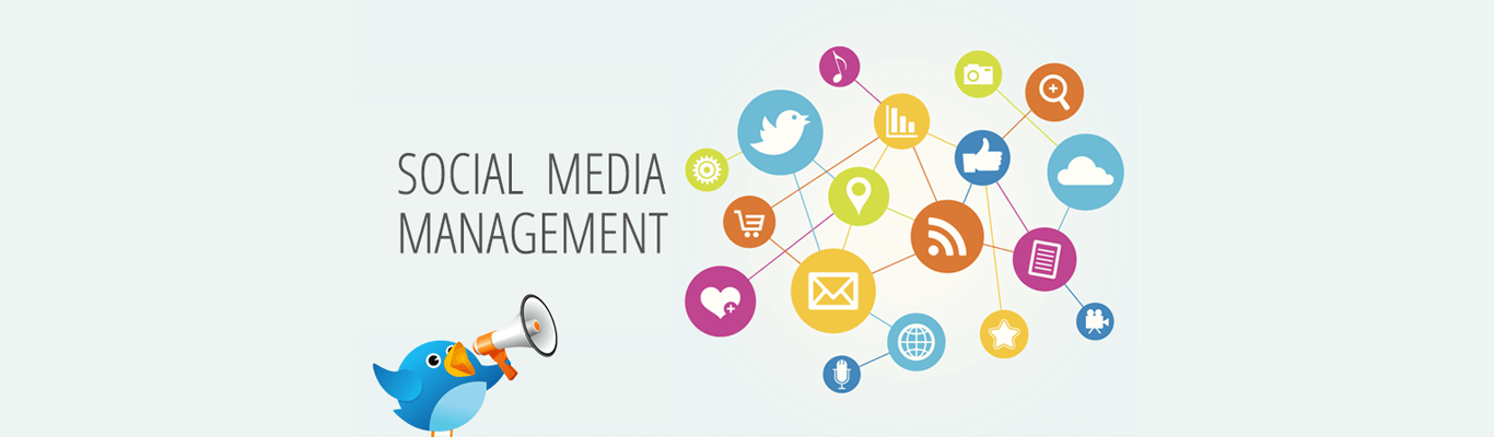 Social Media Management a way to live Social Media ROI